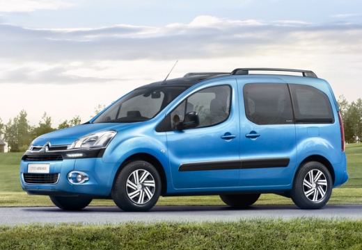 Citroen Berlingo II (ab 2008) – Batterie