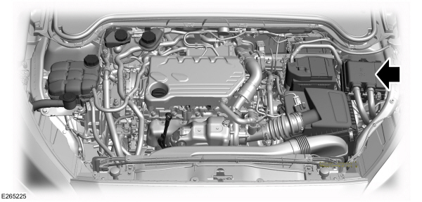 Sicherungsplan unter der Motorhaube des Ford Fiesta, erste Ansicht.